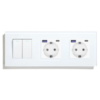 Перехресний 2-клавішний вимикач з двома розетками з USB A+C 20Вт, заземлення, LUXION білий скло