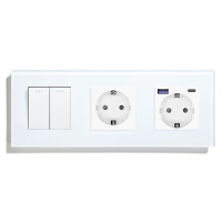 Перехресний 2-клавішний вимикач з розеткою та розеткою з USB A+C 20Вт, заземлення, LUXION білий скло