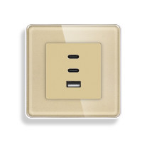 Розетка USB Type-C ELIOS з 65Вт, золота, настінна, дизайнерська, скляна рамка