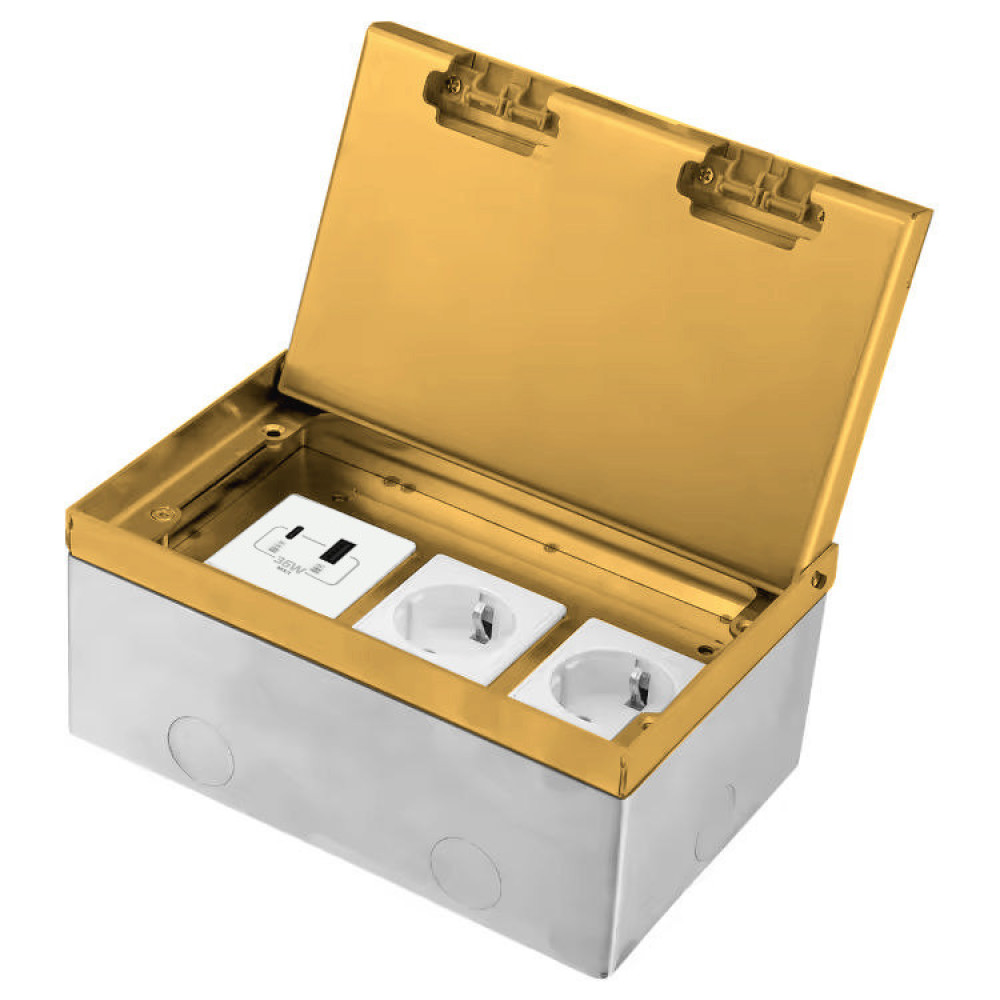 Розетка підлогова LIVOLO, прихованого монтажу, 2 розетки, USB-A та USB Type-C 36 Вт, нержавіюча сталь, золота