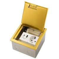 Розетка підлогова LIVOLO, прихованого монтажу, USB-A та USB Type-C 36 Вт, IP54, нержавіюча сталь, золота