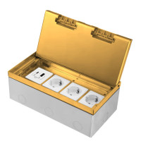 Розетка підлогова LIVOLO, прихованого монтажу, 3 розетки, USB-A та USB Type-C 36 Вт, нержавіюча сталь, золота