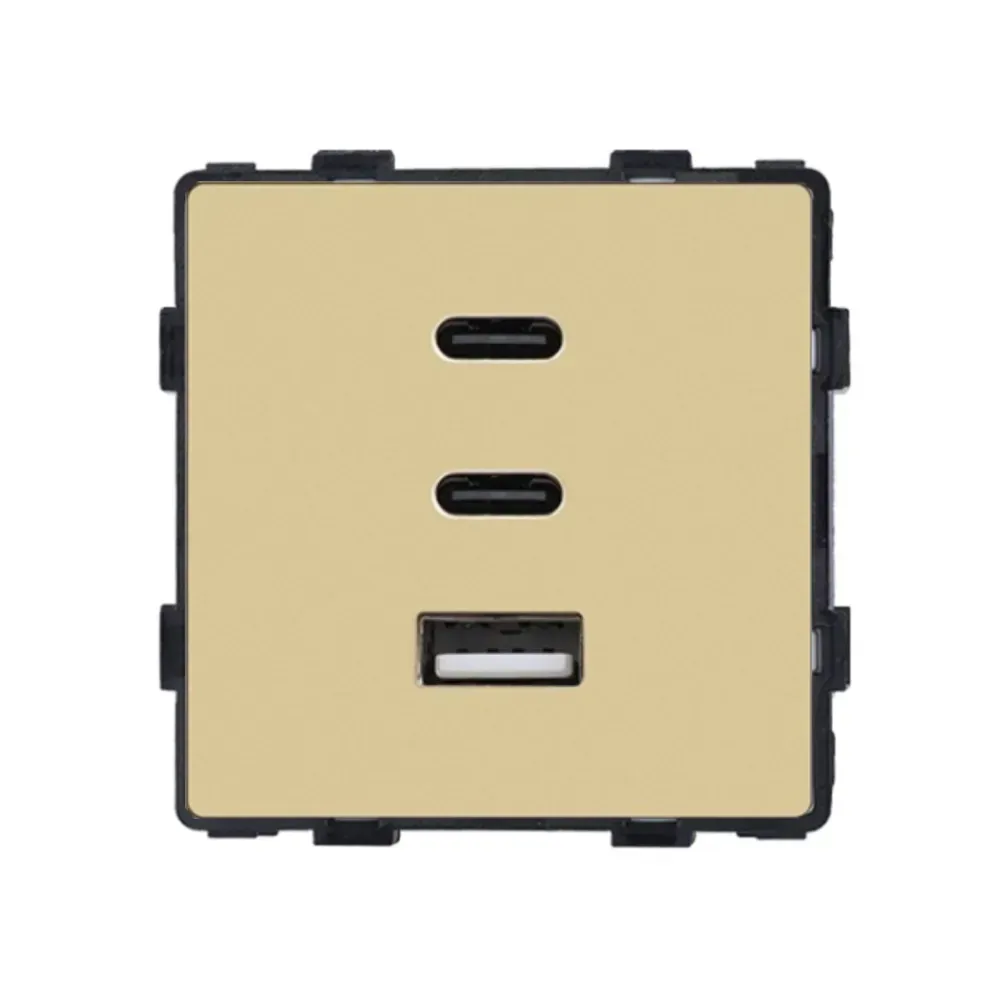 Розетка USB Type-C 65Вт, LUXION, золота скляна рамка, настінна, дизайнерська, швидка зарядка