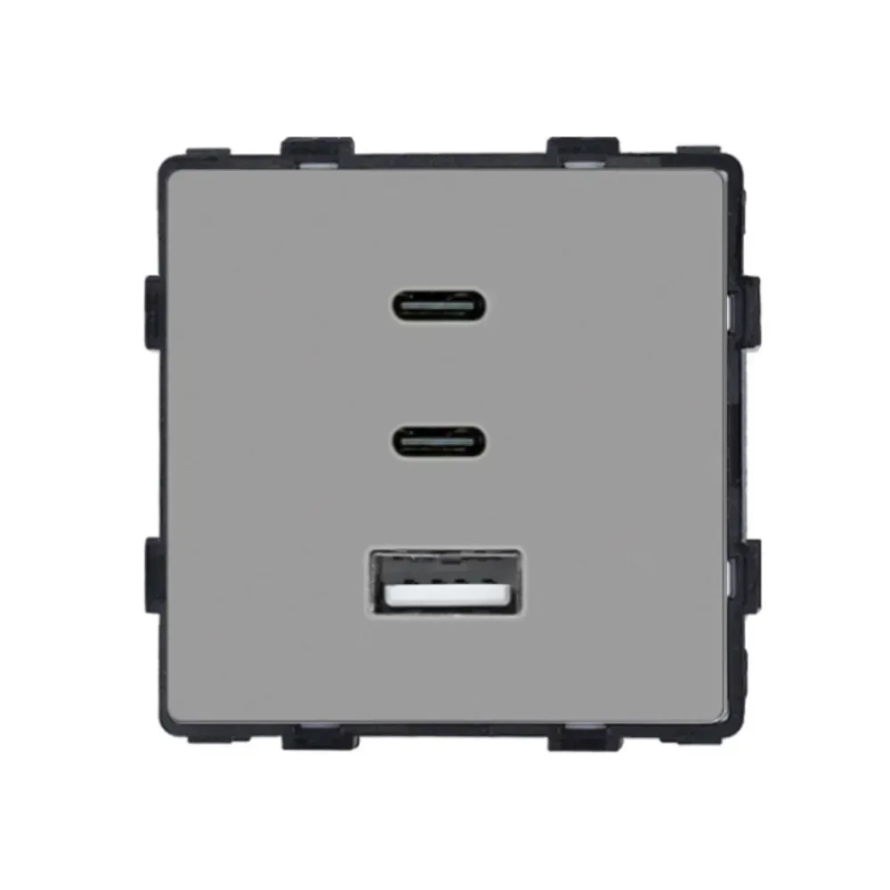 Розетка USB Type-C 65Вт, LUXION, сіра скляна рамка, настінна, дизайнерська, швидка зарядка