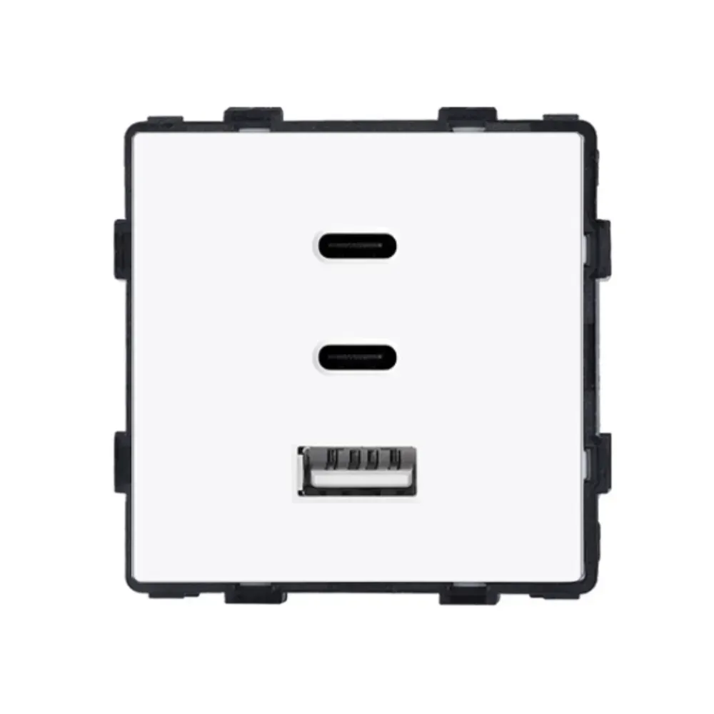 Розетка USB Type-C 65Вт, LUXION, біла скляна рамка, настінна, дизайнерська, швидка зарядка