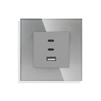 Розетка USB Type-C LUXION з 65Вт, сіра, настінна, дизайнерська, скляна рамка