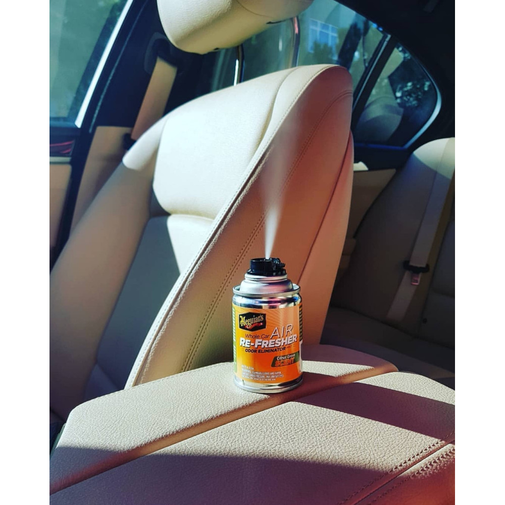Освіжувач повітря "Цитрусовий сад" аромат - Meguiar's Air Re-Fresher Citrus Grove Scent 57 г. (G16502)